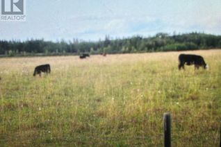 Land for Sale, Township Road 38-2, Rural Clearwater County, AB