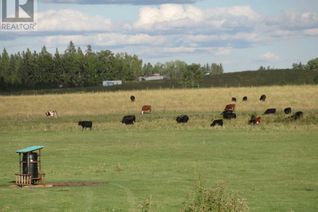 Commercial Land for Sale, Township Road 38-2, Rural Clearwater County, AB