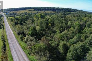 Land for Sale, 1013 Dorn Ridge Road, Burtts Corner, NB