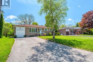 Bungalow for Rent, 104 Lewis Drive #Bsmt, Newmarket (Central Newmarket), ON