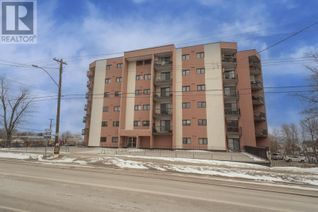 Condo for Sale, 202 165 Court St, Thunder Bay, ON