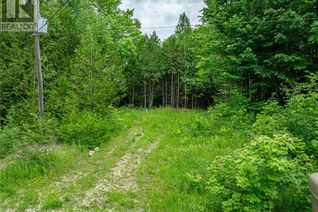 Commercial Land for Sale, Lot 31 8th Concession B, Grey Highlands, ON