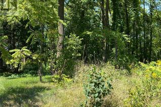 Commercial Land for Sale, Pt Lt 3 Effingham Street, Fonthill, ON