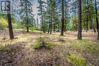 Land for Sale, 5225 Highway 12, Lillooet, BC