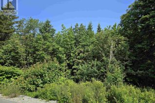 Land for Sale, Lot Highway 332, Rose Bay, NS