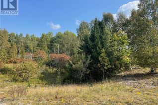 Land for Sale, 0 Lamar Drive, Haliburton, ON