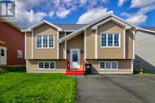 Detached House for Sale, 46 Dauntless Street, St.John's, NL