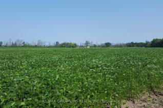 Residential Farm for Sale, 4649 Garrison Rd, Fort Erie, ON