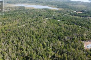 Commercial Land for Sale, Lot 3 Miners Ridge, West Petpeswick, NS