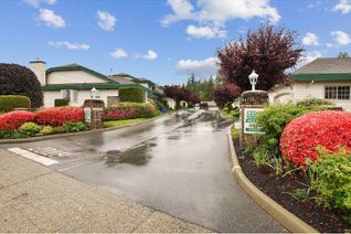 Ranch-Style House for Sale, 3115 Trafalgar Street #24, Abbotsford, BC