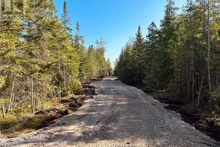 Land for Sale, 155 Bradley Drive, Miller Lake, ON