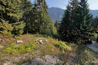 Commercial Land for Sale, 14970 Parkview Avenue, Sunshine Valley, BC