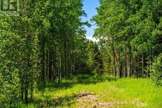 Commercial Land for Sale, Water Valley, Rural Mountain View County, AB