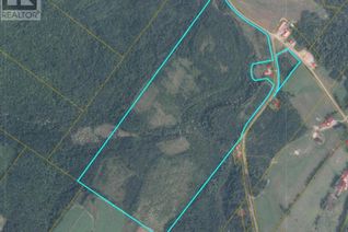 Commercial Land for Sale, Lot King Kristian Road, New Denmark, NB