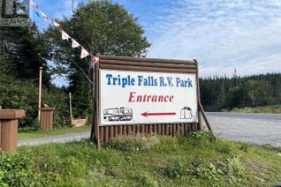 Business for Sale, 0 Route 430, Great Northern Peninsula, NL