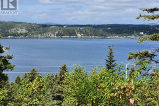 Land for Sale, 193-201, 198-206 Salmon Cove Road, South River, NL