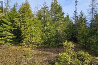 Commercial Land for Sale, Pt Lt 12 Con 5 Wbr Shaw Road, Northern Bruce Peninsula, ON