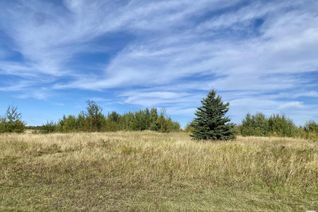 Land for Sale, 52355 Range Road 213, Rural Strathcona County, AB