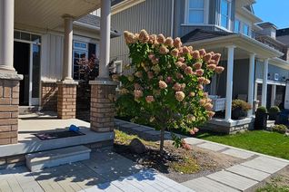 Detached House for Rent, 31 Jack Roach St #BSMNT, Clarington, ON