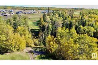 Commercial Land for Sale, 317 454029 Rge Rd 11, Rural Wetaskiwin County, AB