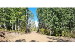 Commercial Land for Sale, 5018b Trail Of 1898, Rural Lac Ste. Anne County, AB