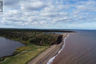 Land for Sale, Lot Shore Road, Lower Barneys River, NS