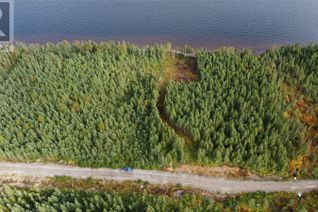 Commercial Land for Sale, 31 New Bay Road, Grand Falls-Windsor, NL