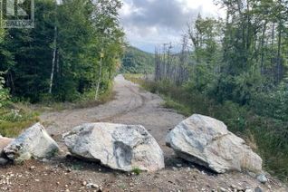 Commercial Land for Sale, 460 Route - White's Road, Gull Pond, NL