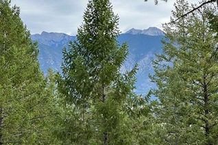 Vacant Residential Land for Sale, Lot 40 Pine Ridge Mountain Lane, Invermere, BC