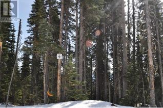 Commercial Land for Sale, Lot 9 Alpine Way #PR. ST, Smithers, BC