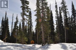 Commercial Land for Sale, Lot 12 Alpine Way #PR. ST, Smithers, BC