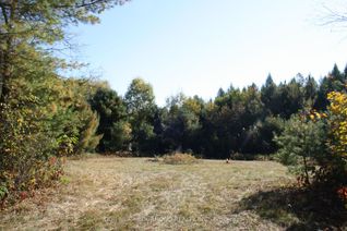 Vacant Residential Land for Sale, . ., Minden Hills, ON