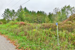 Vacant Residential Land for Sale, 88 Conchie Rd, Tweed, ON