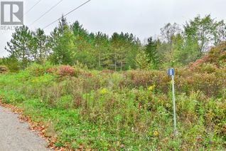 Commercial Land for Sale, 88 Conchie Road, Tweed, ON