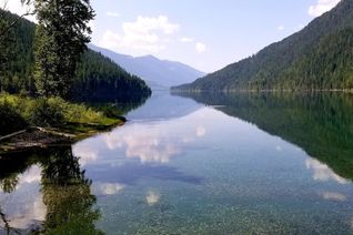 Land for Sale, Lot 19 Sawczuk Road, Trout Lake, BC