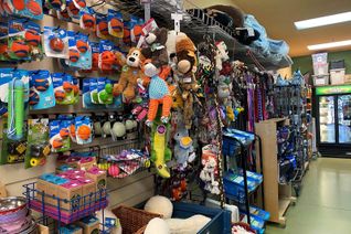 Pet & Supplies Non-Franchise Business for Sale