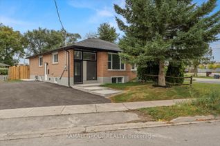 Bungalow for Rent, 63 Walter Ave #Bsmt, Newmarket, ON