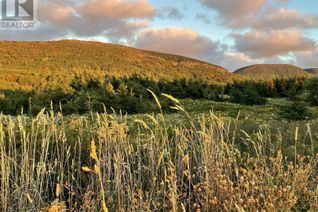 Land for Sale, Cabot Trail, Point Cross, NS