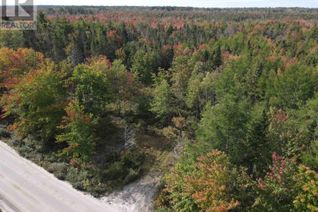 Commercial Land for Sale, Lot T-1 Upper Clyde Road, Welshtown, NS