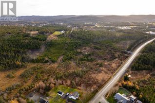 Land for Sale, 0 Foley's Hill, South River, NL