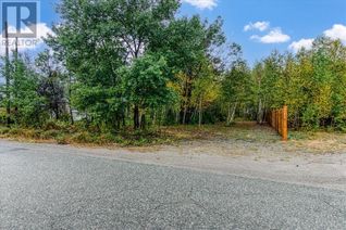 Land for Sale, 17 Lionel Avenue, Dowling, ON