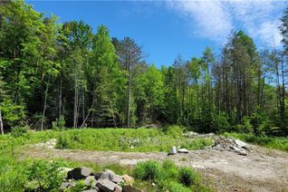 Land for Sale, 15 Madeline Street, Huntsville, ON