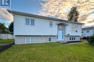 Detached House for Sale, 52 Ireland Drive, Grand Falls-Windsor, NL