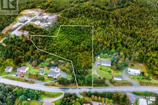 Property for Sale, 145 Main Road, Chapel Arm, NL