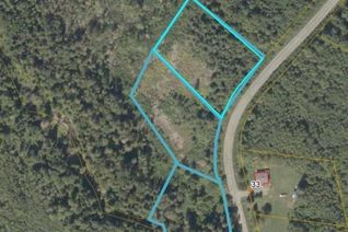 Commercial Land for Sale, Vacant Lot York Road, Florenceville-Bristol, NB