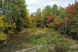 Land for Sale, 307 Doyleville Road, Lorne, NB