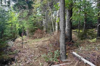 Commercial Land for Sale, 24-4 Forest Drive Extension, Pictou, NS