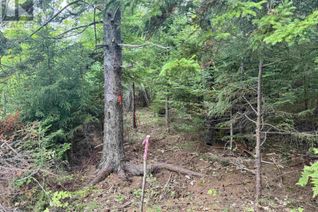 Land for Sale, 24-6 Forest Drive Extension, Pictou, NS