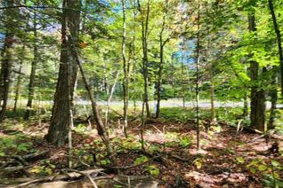 Commercial Land for Sale, 0 Skyline Drive, Burk's Falls, ON