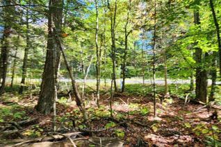 Property for Sale, 0 Skyline Drive, Armour, ON